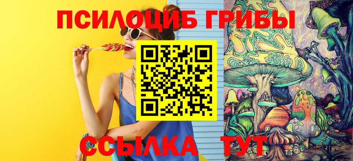 Сокол  Псилоцибиновые грибы ЛСД  Галлюциногенные грибы Cubensis  Вход с VPN 