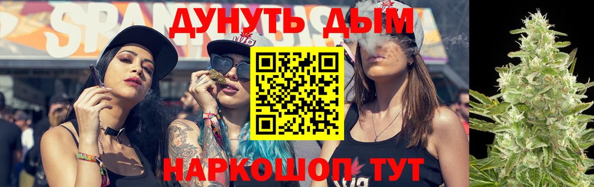 Марихуана SATIVA & INDICA Сокол
